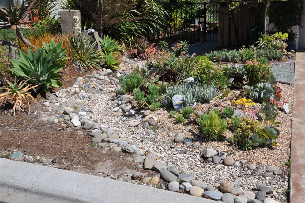 Succulent Garden and Dry Creek Bed