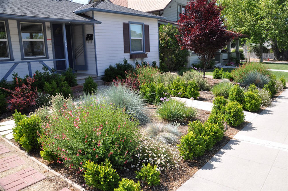 Front Yard Attraction