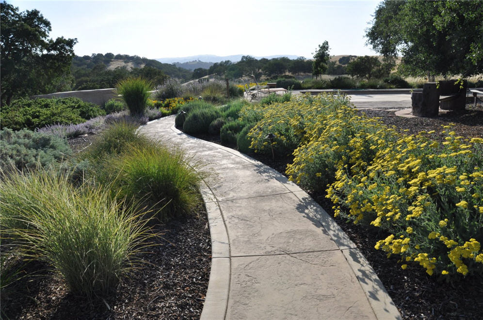 Stamped Concrete Path